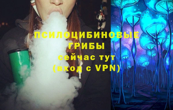 прущие крисы Арсеньев
