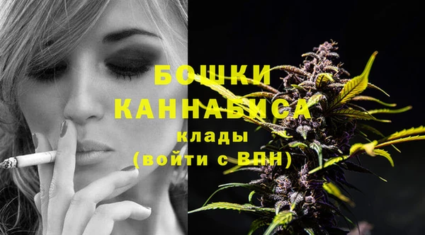 дживик Аркадак