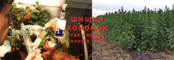 винт Армянск