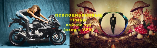 винт Армянск
